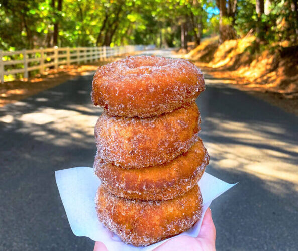 Apple Donuts Camino | Wine Tasting El Dorado County