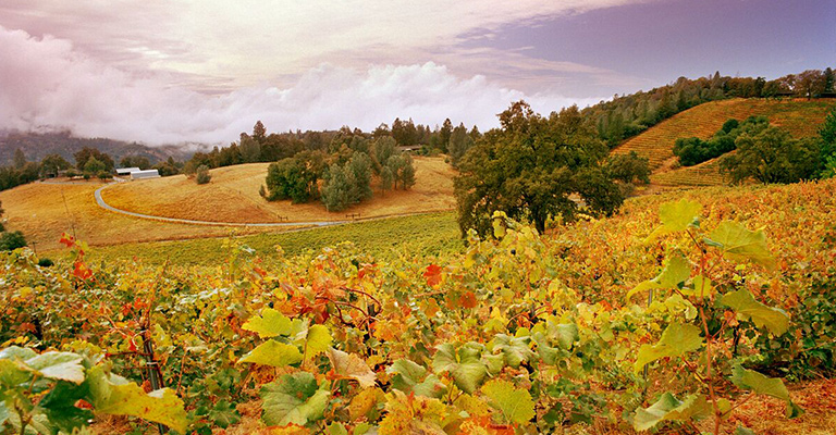 El Dorado Winery Association