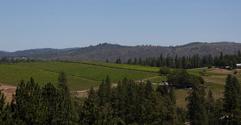 Fair Play Winery Association