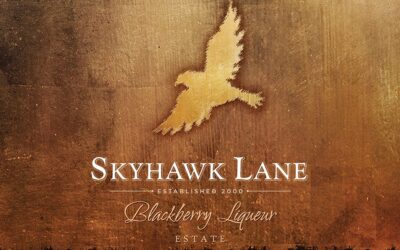 Red Poets & Skyhawk Lane New Releases